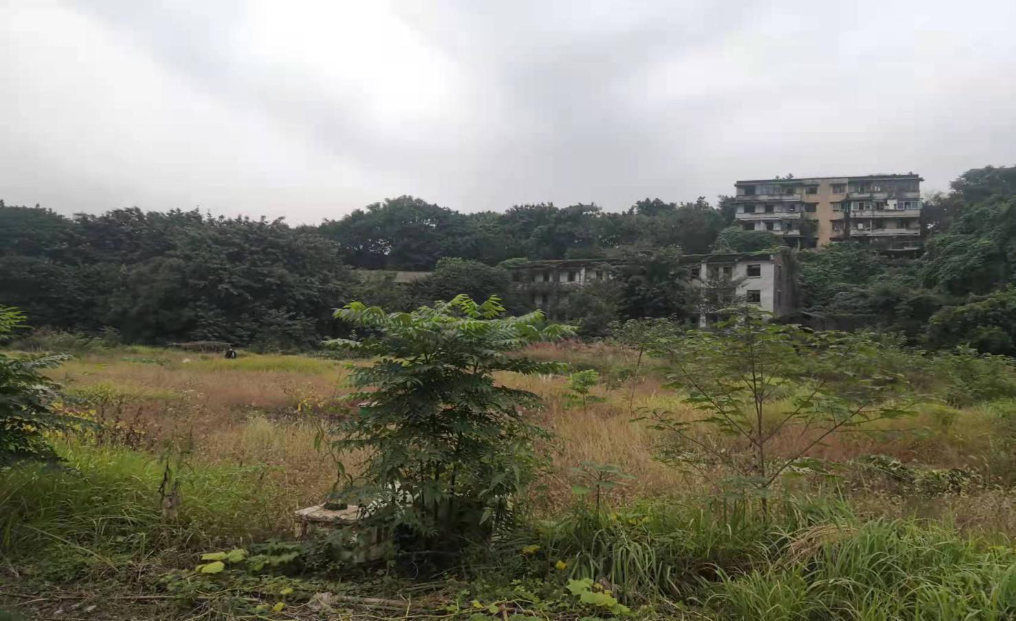 現(xiàn)場3.png